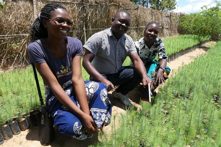 Planting Fruit Trees campaign update: October to December 2018