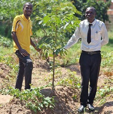 Planting Fruit Trees campaign update: April to June 2025