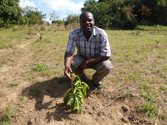 Planting Fruit Trees campaign update: July to September 2014