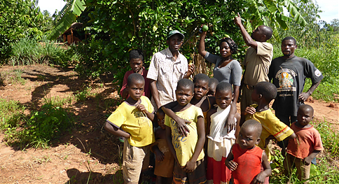 Planting Fruit Trees campaign update: January to March 2014