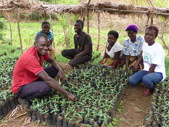 Planting Fruit Trees campaign update: October to December 2016