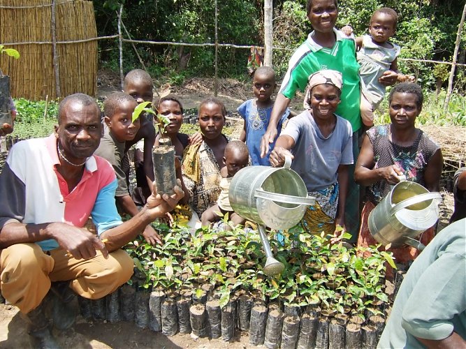 Planting Fruit Trees campaign update: January to March 2015