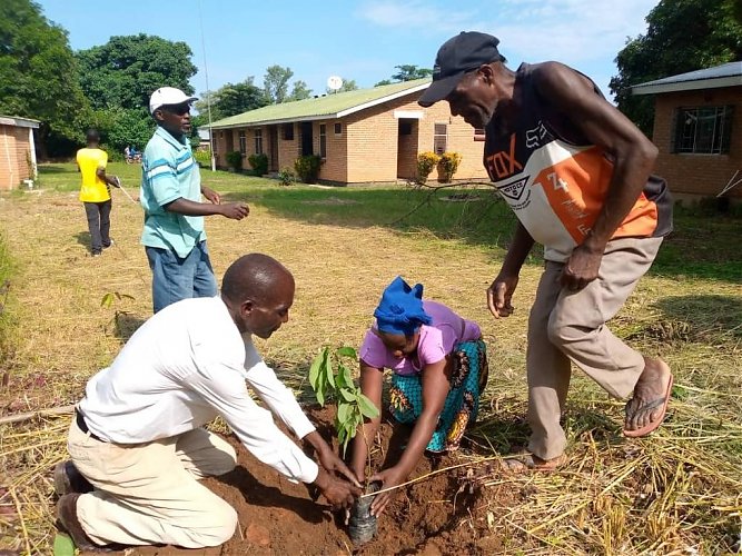 Planting Fruit Trees campaign update: January to March 2022
