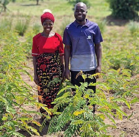 Planting Fruit Trees campaign update: July to September 2025