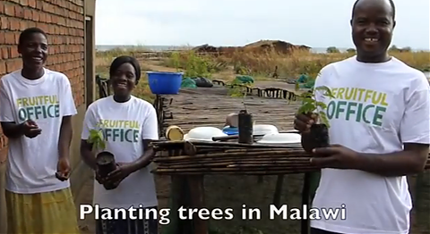 Planting Fruit Trees campaign update: October to December 2013